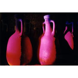 New Light on Rome, 2000